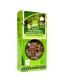 Pięciornik kurze ziele kłącze Dary Natury 100 g