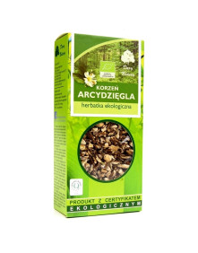 Arcydzięgiel korzeń Dary Natury 100 g