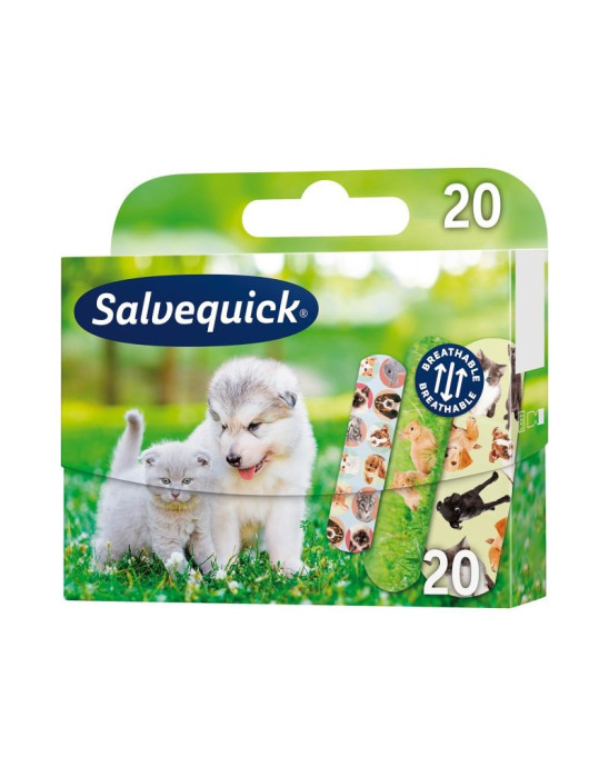 Plasterki zwierzątka