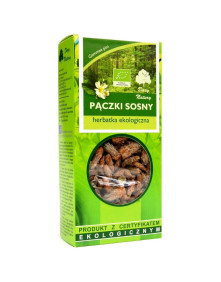 Pączki sosny