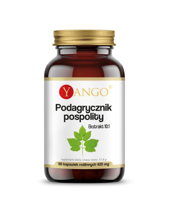 Podagrycznik pospolity 90 kaps. | Yango