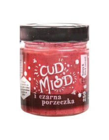 Cud miód i czarna porzeczka 250g | Sądecki Bartnik