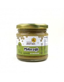 Miłorząb Japoński W Miodzie 250g | Sądecki Bartnik