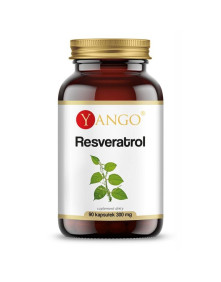 Resweratrol z rdestowca japońskiego  90 kaps | Yango