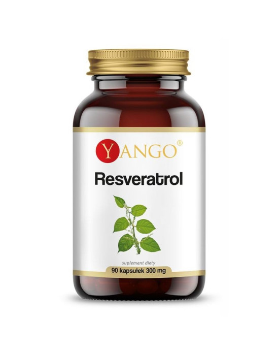 Resweratrol z rdestowca japońskiego  90 kaps | Yango