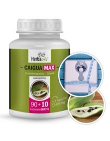 Caigua - dziki ogórek MAX 100 kaps | Herbavis