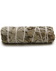 Biała szałwia pęczek 10 cm 25-30 g | Fragrances & Sens