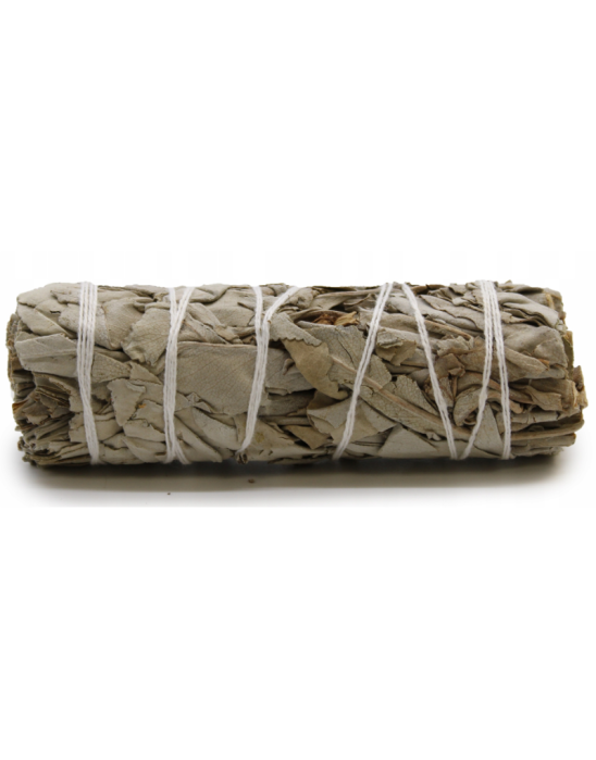 Biała szałwia pęczek 10 cm 25-30 g | Fragrances & Sens