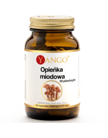 Opieńka miodowa 90 kaps | Yango
