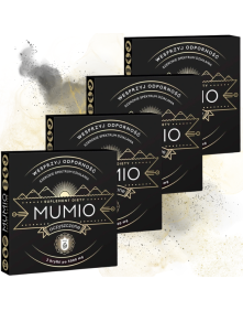 Mumio oczyszczone - shilajit 4 szt | Nami