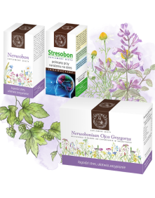 Zestaw na stres i wyciszenie – Stresobon 60 kaps, Nerwobon 60 kaps, Nerwobonisan 25x4 g | Bonimed