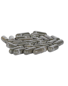 Spirulina z amlą 100 kaps | Aurospirul