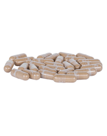 Amla 100 kaps | Aurospirul