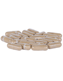 Triphala 100 kaps | Aurospirul