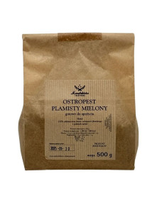 Ostropest plamisty mielony 500 g | Manufaktura Zbąszyńska