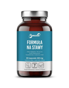 Formuła na stawy 50 kaps | Panaseus