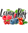 Leśny Raj