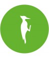 The Green Woodpecker Trill